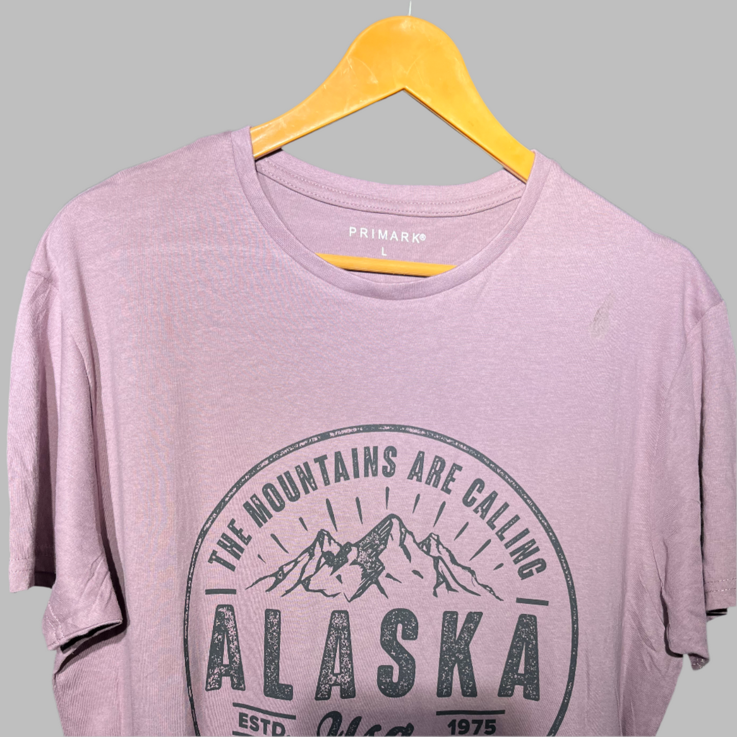 Primark Men's Graphic T-Shirt – "Alaska USA" Outdoor Print (Lavender)