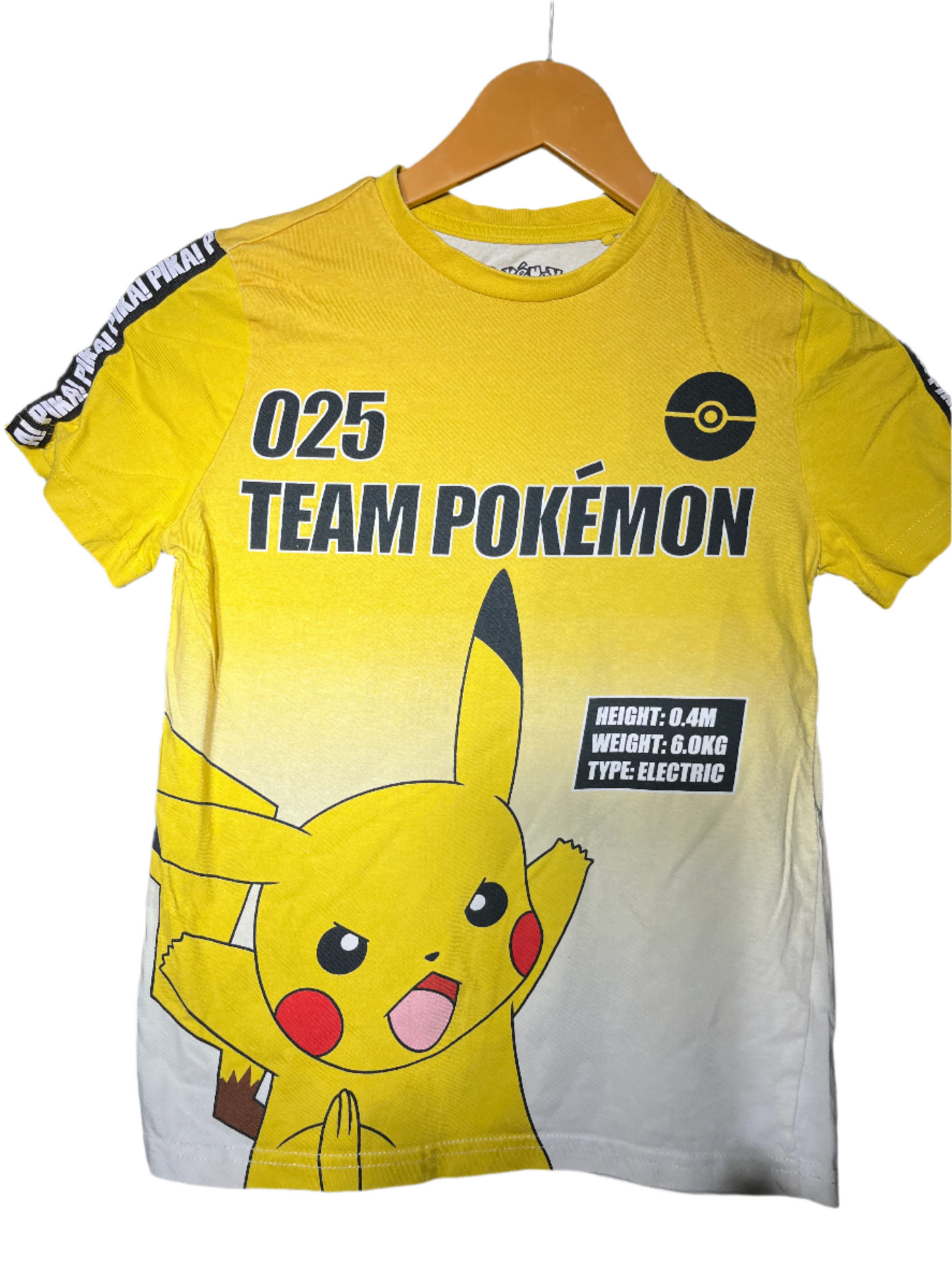 Pokémon #529