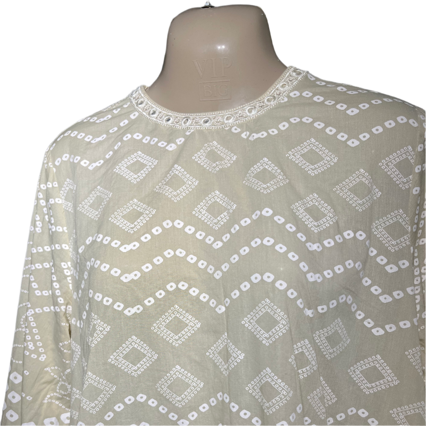 Ethnic Printed Kurti for Women #663