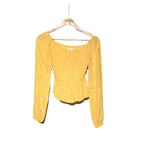 Hollister Ladies Crop Top #941